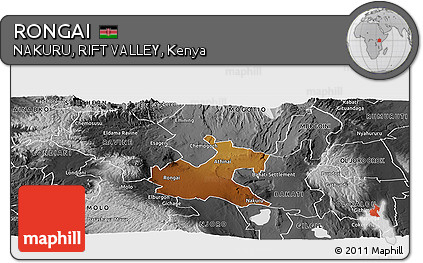 Physical Panoramic Map of RONGAI, desaturated
