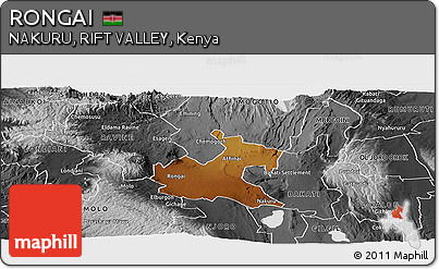 Physical Panoramic Map of RONGAI, desaturated