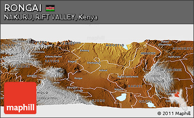 Physical Panoramic Map of RONGAI