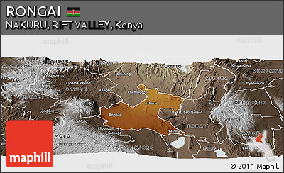 Physical Panoramic Map of RONGAI, semi-desaturated