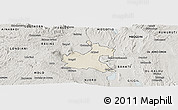Shaded Relief Panoramic Map of RONGAI, semi-desaturated