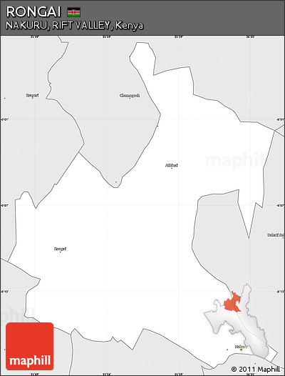 Silver Style Simple Map of RONGAI