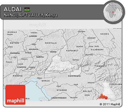 Silver Style 3D Map of ALDAI