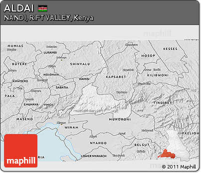 Silver Style 3D Map of ALDAI