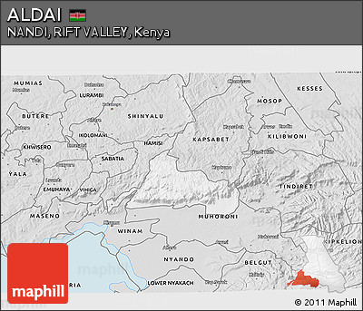 Silver Style 3D Map of ALDAI