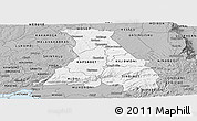 Gray Panoramic Map of NANDI