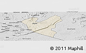 Shaded Relief Panoramic Map of LOLGORIAN, desaturated