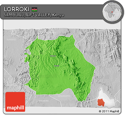 Political 3D Map of LORROKI, lighten, desaturated