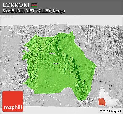 Political 3D Map of LORROKI, lighten, desaturated
