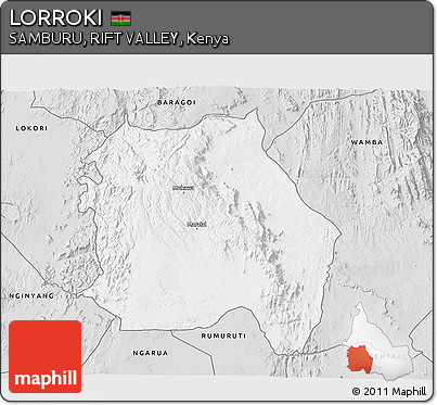 Silver Style 3D Map of LORROKI