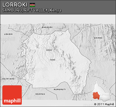 Silver Style 3D Map of LORROKI