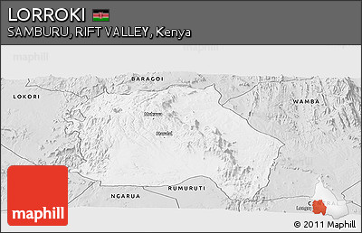 Silver Style Panoramic Map of LORROKI