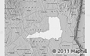 Gray Map of SOY