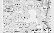 Silver Style Map of SOY