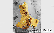 Physical 3D Map of WEST POKOT, desaturated