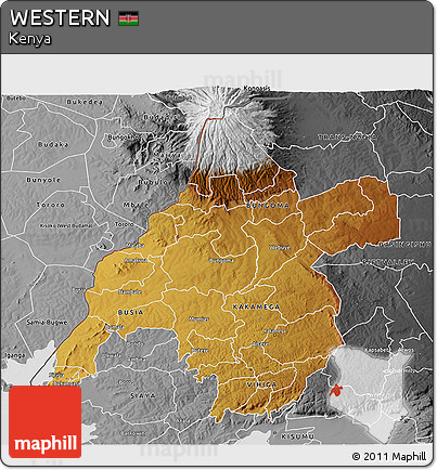 Physical 3D Map of WESTERN, desaturated