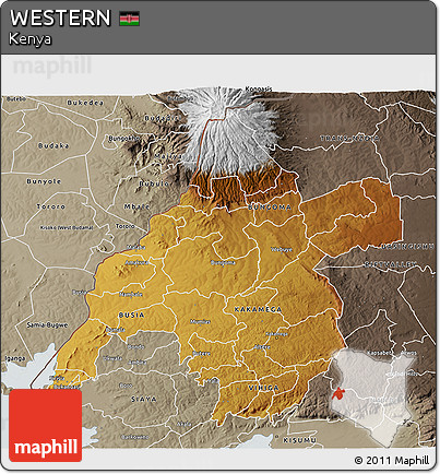 Physical 3D Map of WESTERN, semi-desaturated