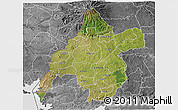 Satellite 3D Map of WESTERN, desaturated