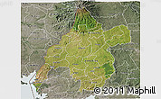 Satellite 3D Map of WESTERN, semi-desaturated