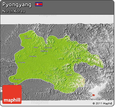 Physical 3D Map of Pyongyang, desaturated