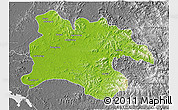 Physical 3D Map of Pyongyang, desaturated