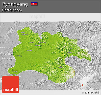 Physical 3D Map of Pyongyang, lighten, desaturated