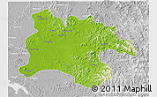 Physical 3D Map of Pyongyang, lighten, desaturated