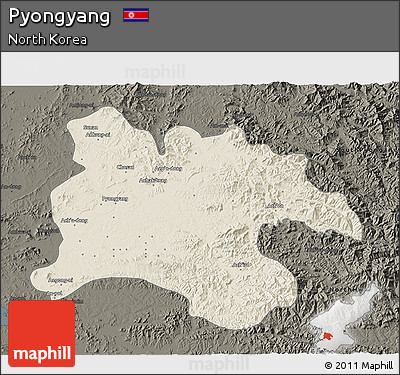Shaded Relief 3D Map of Pyongyang, darken