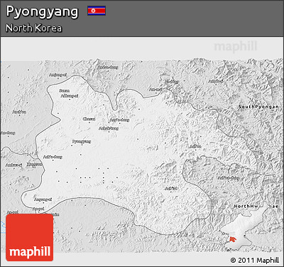 Silver Style 3D Map of Pyongyang