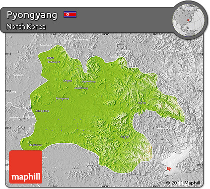 Physical Map of Pyongyang, lighten, desaturated