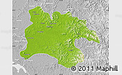 Physical Map of Pyongyang, lighten, desaturated