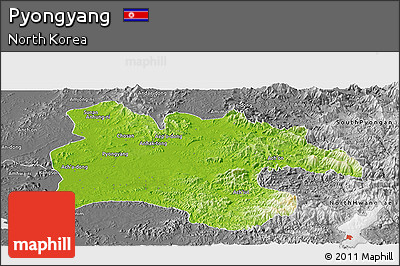 Physical Panoramic Map of Pyongyang, desaturated
