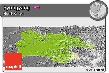 Physical Panoramic Map of Pyongyang, desaturated