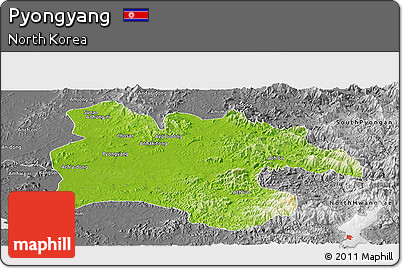Physical Panoramic Map of Pyongyang, desaturated