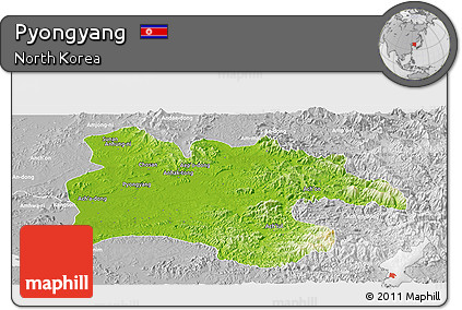 Physical Panoramic Map of Pyongyang, lighten, desaturated
