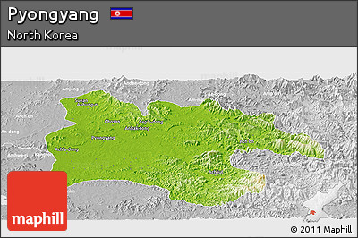 Physical Panoramic Map of Pyongyang, lighten, desaturated