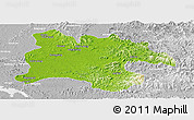 Physical Panoramic Map of Pyongyang, lighten, desaturated