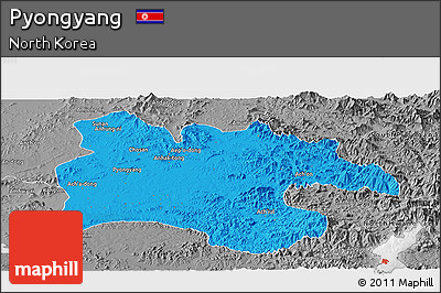 Political Panoramic Map of Pyongyang, desaturated