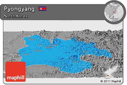 Political Panoramic Map of Pyongyang, desaturated