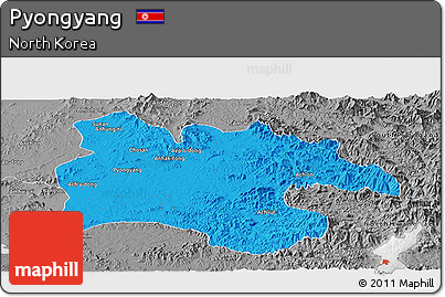 Political Panoramic Map of Pyongyang, desaturated