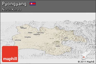 Shaded Relief Panoramic Map of Pyongyang, lighten, desaturated