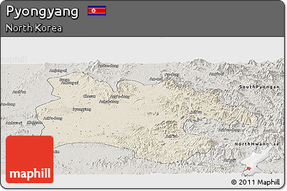 Shaded Relief Panoramic Map of Pyongyang, semi-desaturated