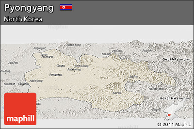 Shaded Relief Panoramic Map of Pyongyang, semi-desaturated