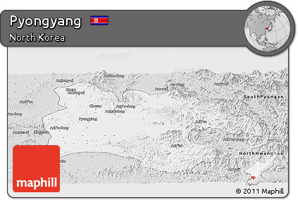 Silver Style Panoramic Map of Pyongyang