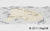 Shaded Relief Panoramic Map of Paksong, desaturated