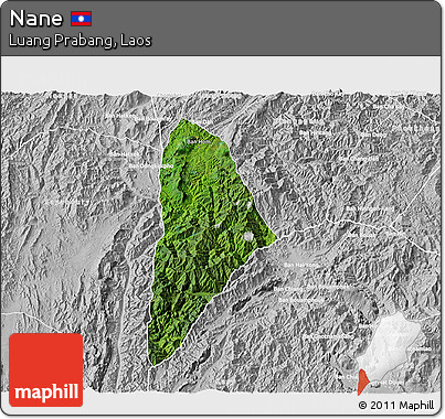 Satellite 3D Map of Nane, lighten, desaturated