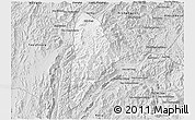 Silver Style 3D Map of Nane
