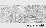 Silver Style Panoramic Map of Nane