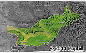 Satellite 3D Map of Saravane, desaturated