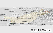 Shaded Relief Panoramic Map of Saravane, desaturated